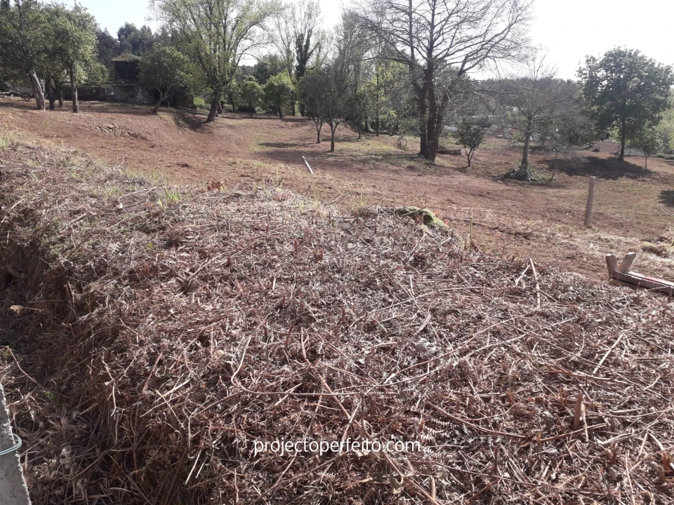 Quinta T6 para Venda em Grijó e Sermonde Foto 15