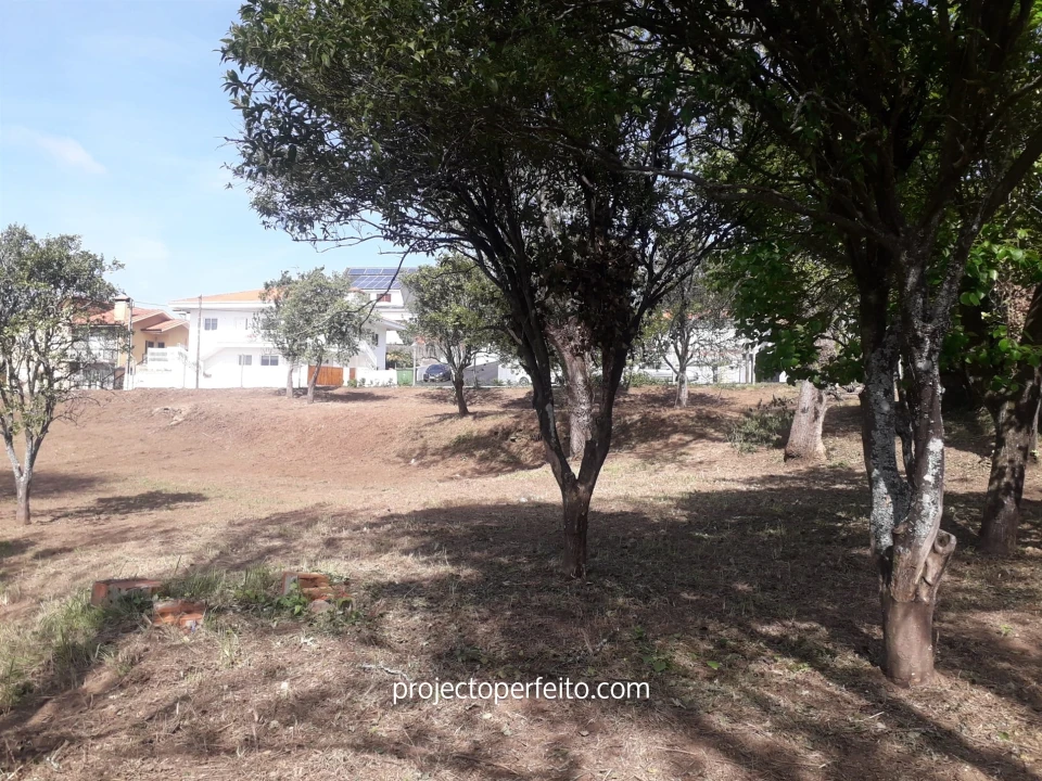 Quinta T6 para Venda em Grijó e Sermonde Foto 17