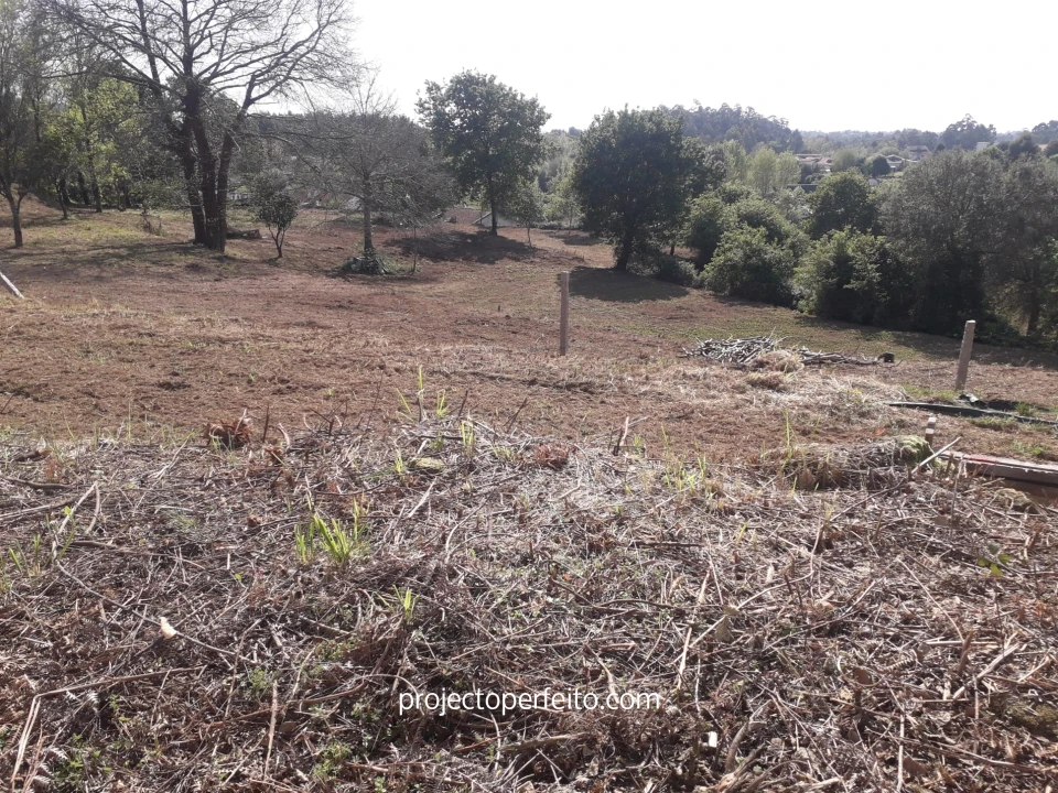 Quinta T6 para Venda em Grijó e Sermonde Foto 11