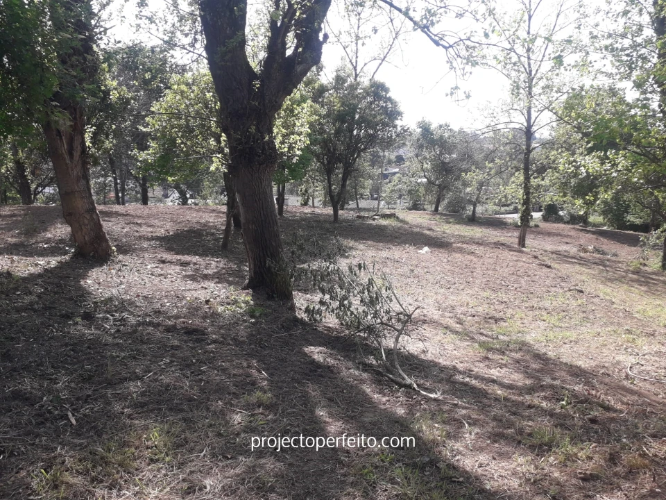 Quinta T6 para Venda em Grijó e Sermonde Foto 23