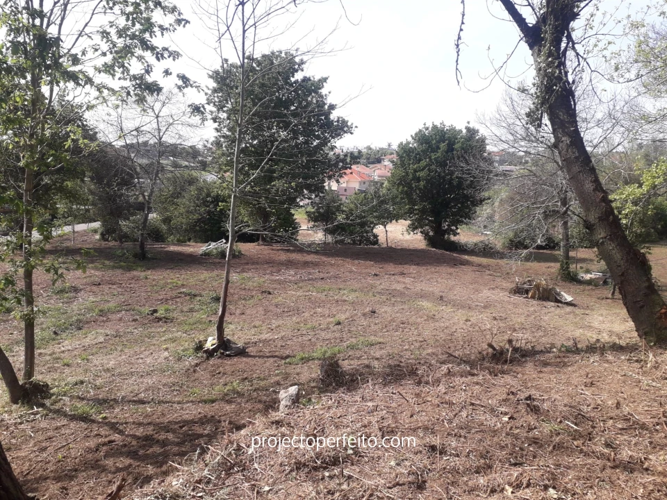 Quinta T6 para Venda em Grijó e Sermonde Foto 18