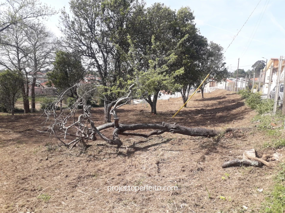 Quinta T6 para Venda em Grijó e Sermonde Foto 22