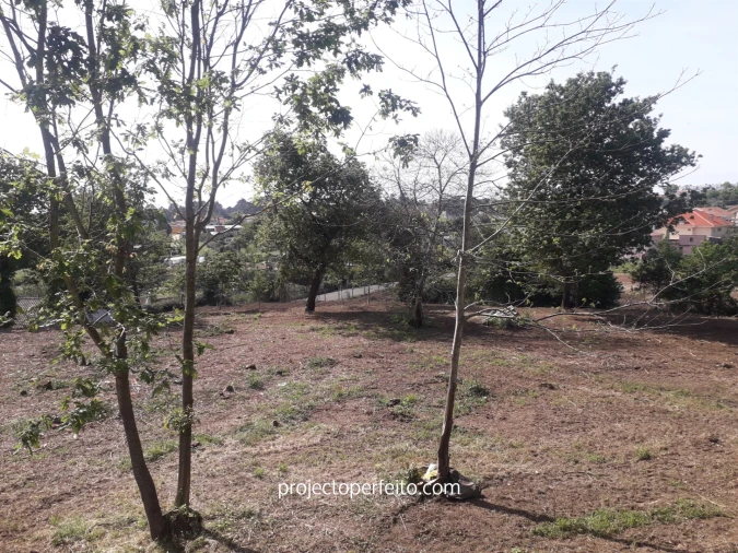 Quinta T6 para Venda em Grijó e Sermonde Foto 16