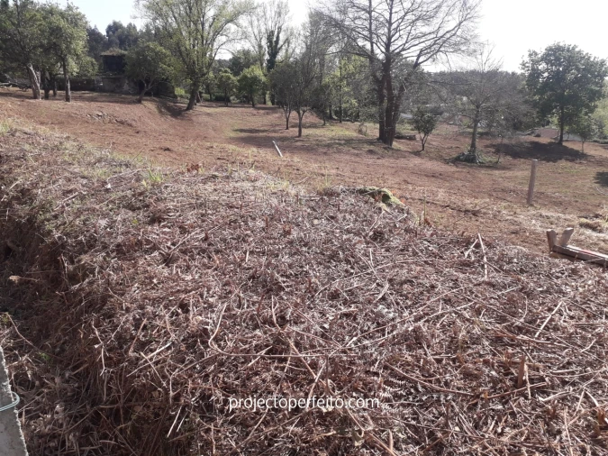 Quinta T6 para Venda em Grijó e Sermonde Foto 15