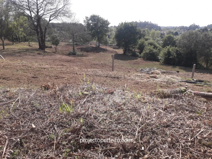 Quinta T6 para Venda em Grijó e Sermonde Foto 11
