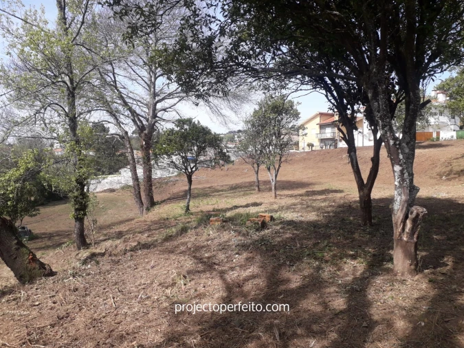 Quinta T6 para Venda em Grijó e Sermonde Foto 19