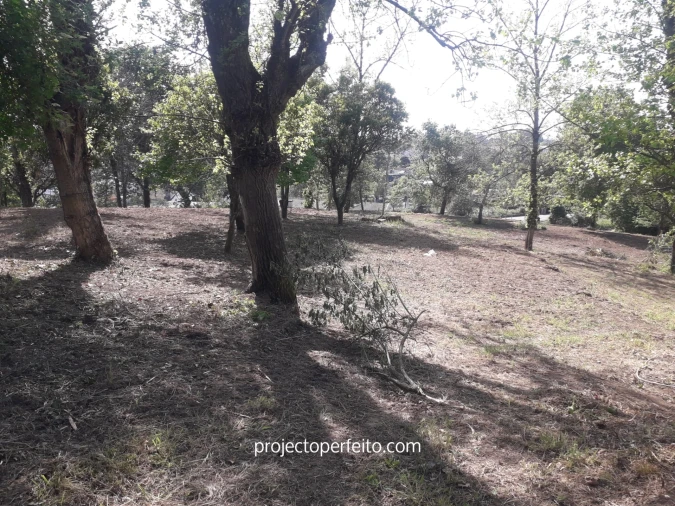 Quinta T6 para Venda em Grijó e Sermonde Foto 23