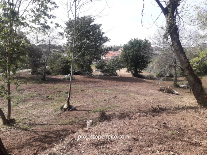 Quinta T6 para Venda em Grijó e Sermonde Foto 18