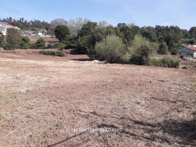 Quinta T6 para Venda em Grijó e Sermonde Foto 13