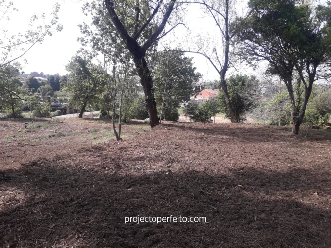 Quinta T6 para Venda em Grijó e Sermonde Foto 21