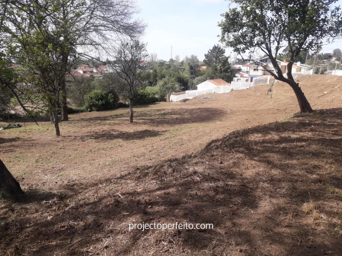 Quinta T6 para Venda em Grijó e Sermonde Foto 20