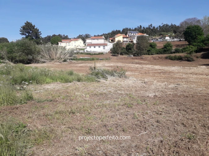 Quinta T6 para Venda em Grijó e Sermonde Foto 10