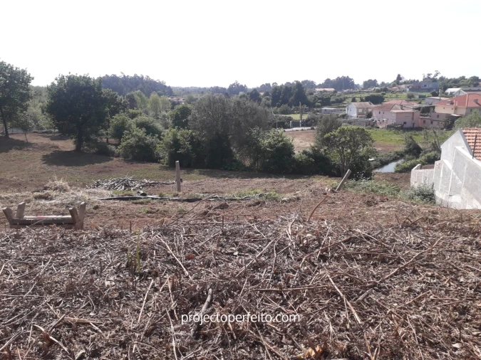 Quinta T6 para Venda em Grijó e Sermonde Foto 12