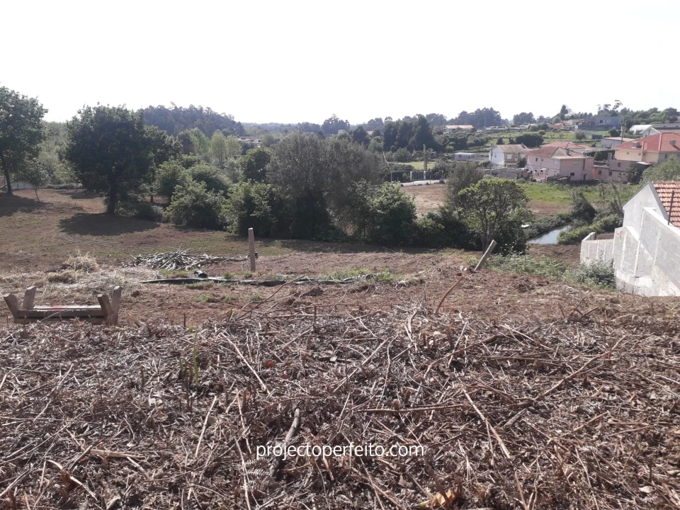 Quinta T6 para Venda em Grijó e Sermonde Foto 12