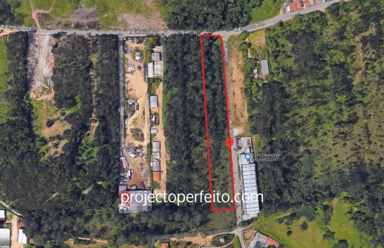 Terreno Agricola ou Rústico para Venda em Anta e Guetim Foto 3