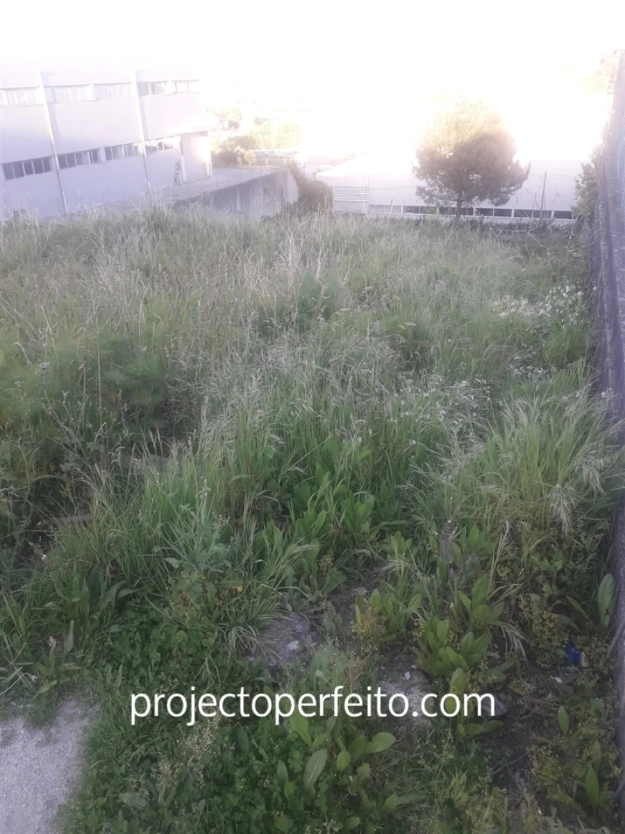 Terreno Comércio / Armazém para Venda em Pencelo Foto 4