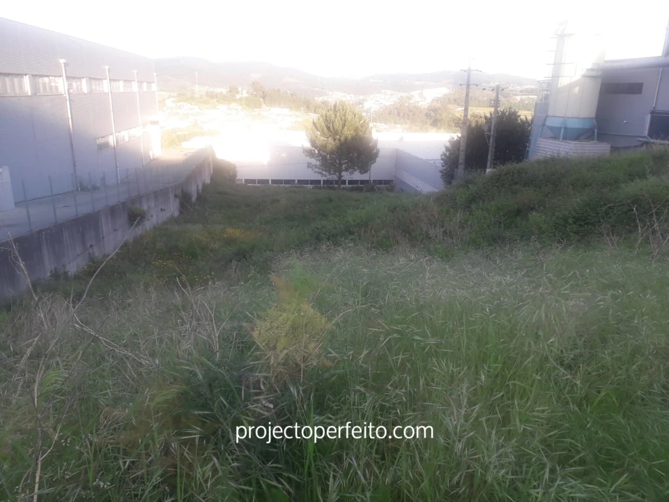 Terreno Comércio / Armazém para Venda em Pencelo Foto 8