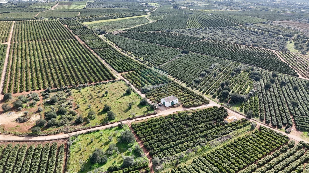 Terreno Agricola ou Rústico para Venda em Alcantarilha e Pêra Foto 5