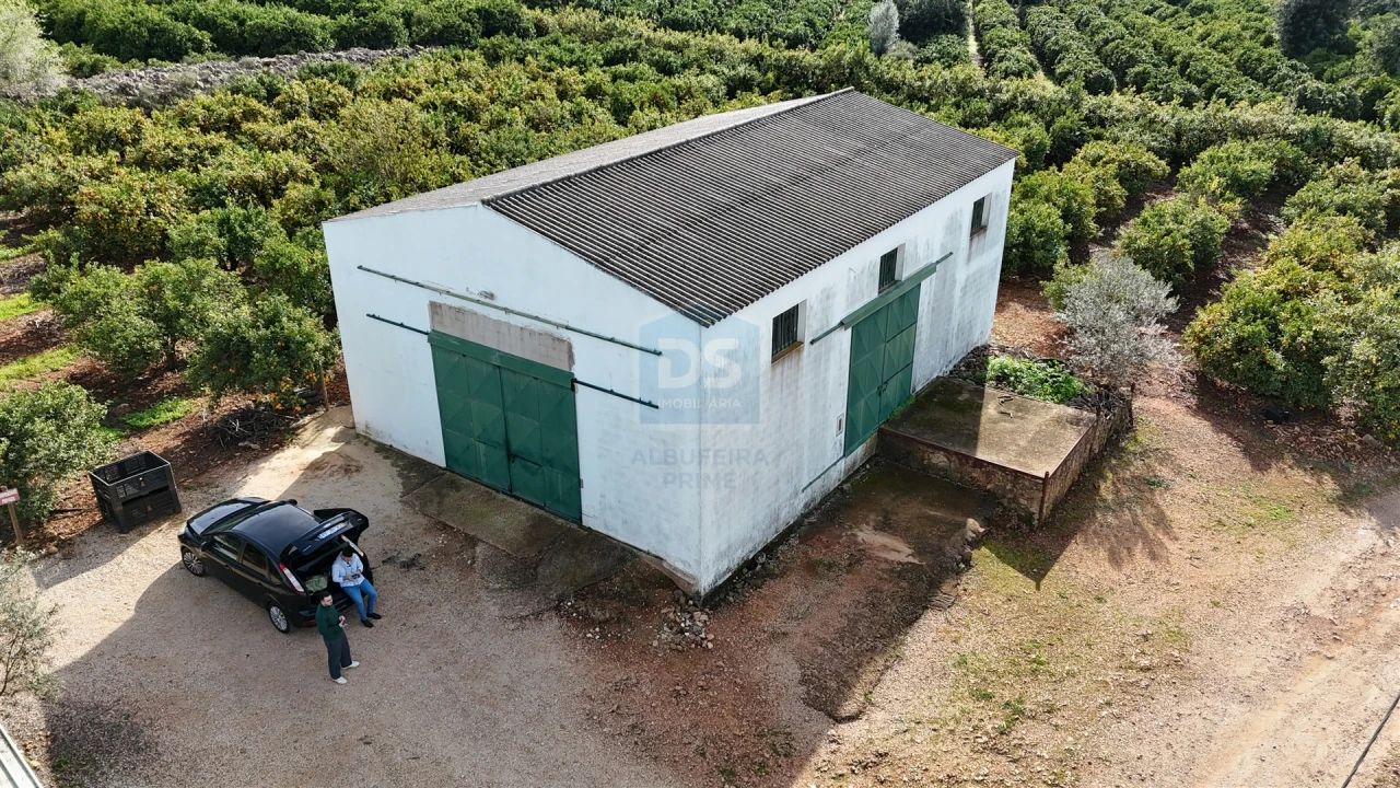 Terreno Agricola ou Rústico para Venda em Alcantarilha e Pêra Foto 6
