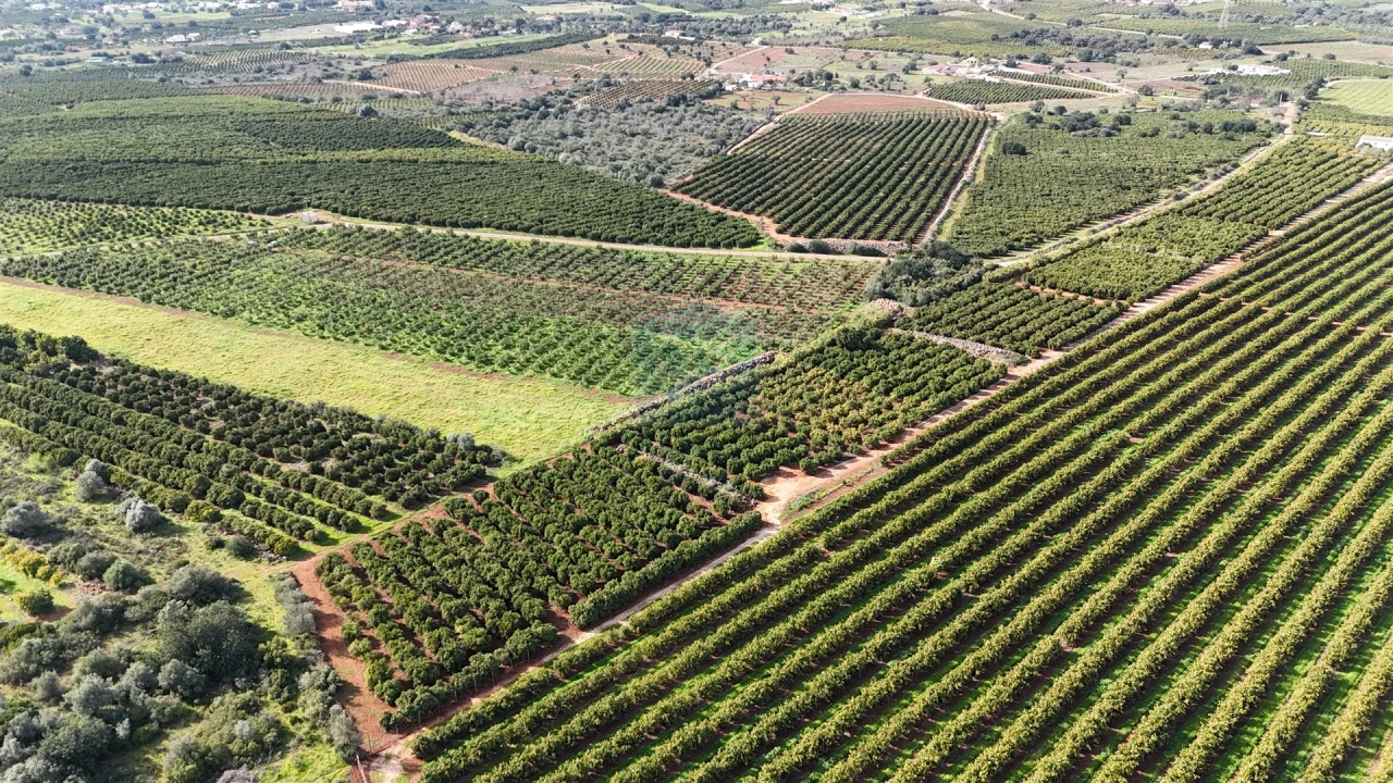 Terreno Agricola ou Rústico para Venda em Alcantarilha e Pêra Foto 3
