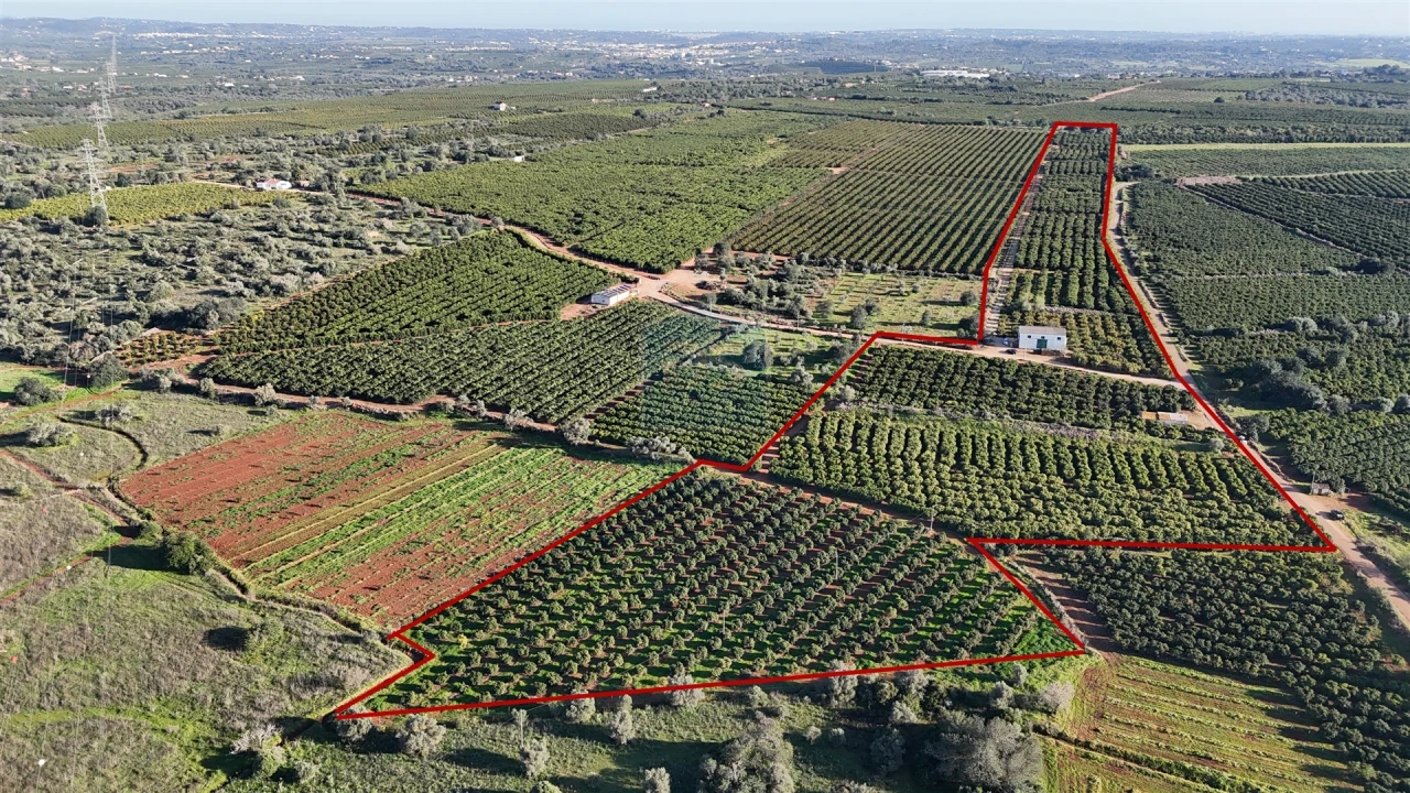 Terreno Agricola ou Rústico para Venda em Alcantarilha e Pêra Foto 1