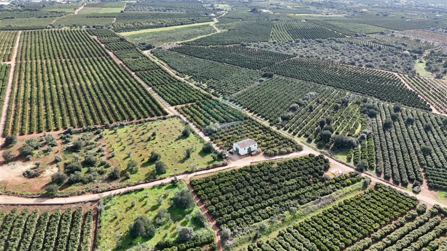 Terreno Agricola ou Rústico para Venda em Alcantarilha e Pêra Foto 5