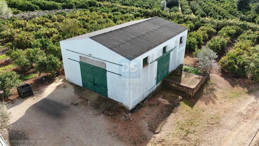 Terreno Agricola ou Rústico para Venda em Alcantarilha e Pêra Foto 2