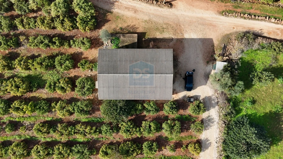 Terreno Agricola ou Rústico para Venda em Alcantarilha e Pêra Foto 7