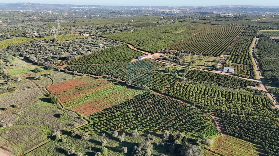 Terreno Agricola ou Rústico para Venda em Alcantarilha e Pêra Foto 10