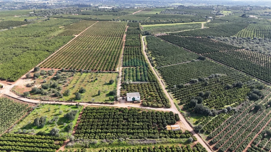 Terreno Agricola ou Rústico para Venda em Alcantarilha e Pêra Foto 4
