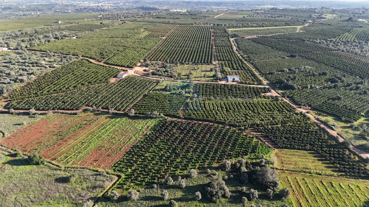 Terreno Agricola ou Rústico para Venda em Alcantarilha e Pêra Foto 9