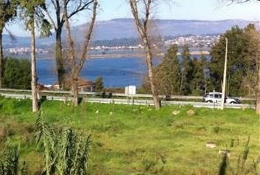 Terreno para Venda em Seixas Foto 13