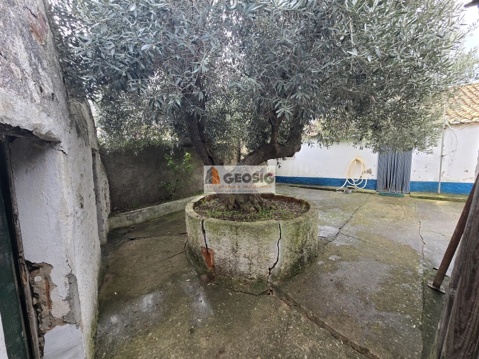 Moradia T1 para Venda em Castro Verde e Casével Foto 15