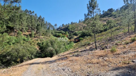 Terreno para Venda em São Salvador da Aramenha