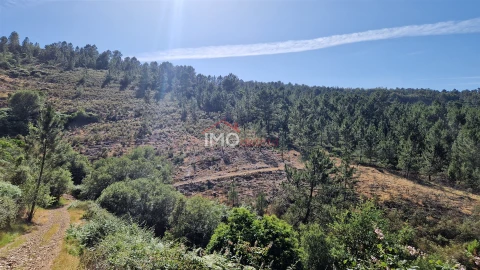 Terreno para Venda em São Salvador da Aramenha