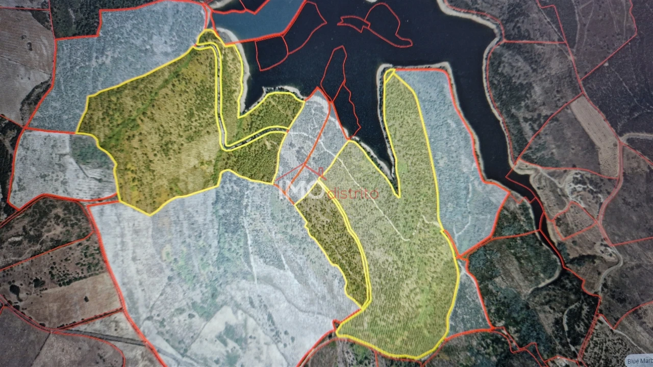 Terreno para Venda em São Salvador da Aramenha Foto 1