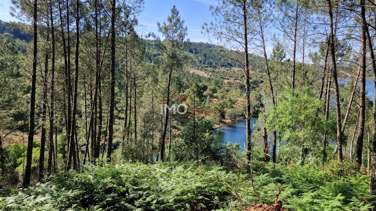 Terreno para Venda em São Salvador da Aramenha Foto 6