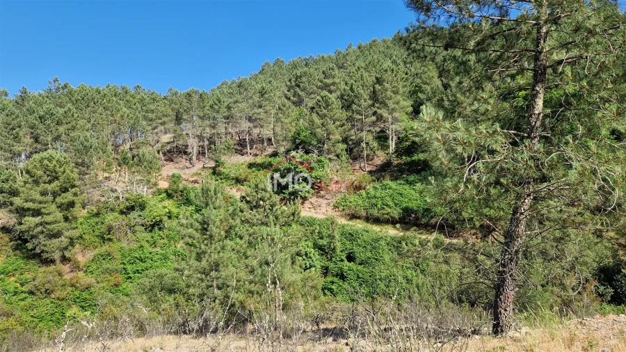 Terreno para Venda em São Salvador da Aramenha Foto 11
