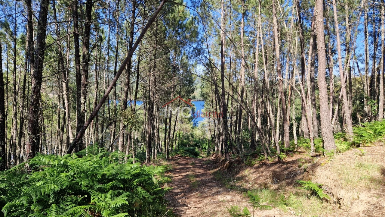 Terreno para Venda em São Salvador da Aramenha Foto 4