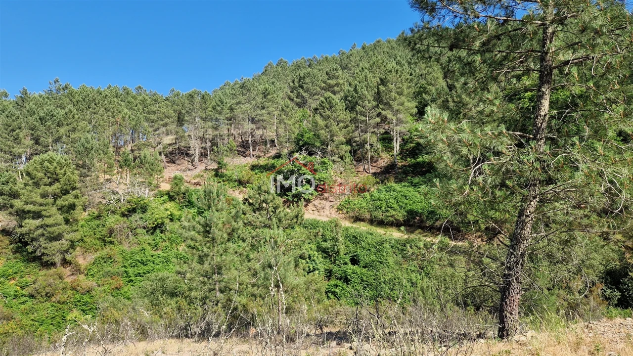Terreno para Venda em São Salvador da Aramenha Foto 11