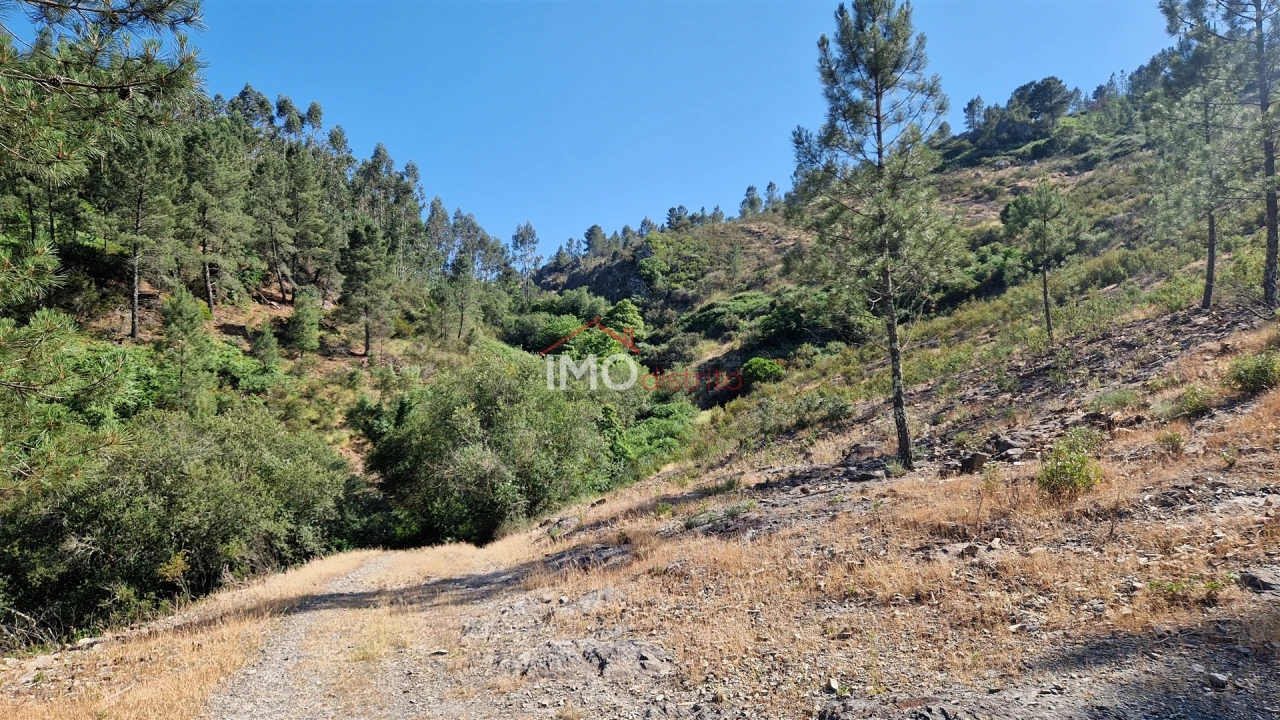 Terreno para Venda em São Salvador da Aramenha Foto 10