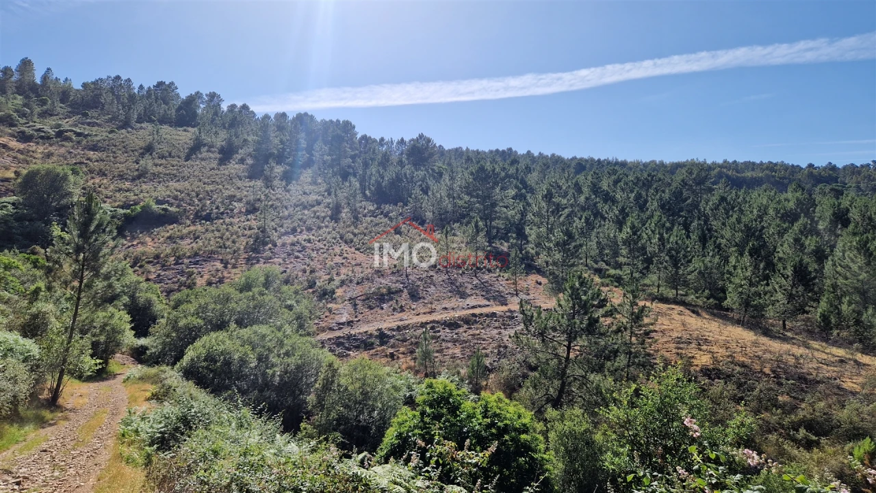 Terreno para Venda em São Salvador da Aramenha Foto 12