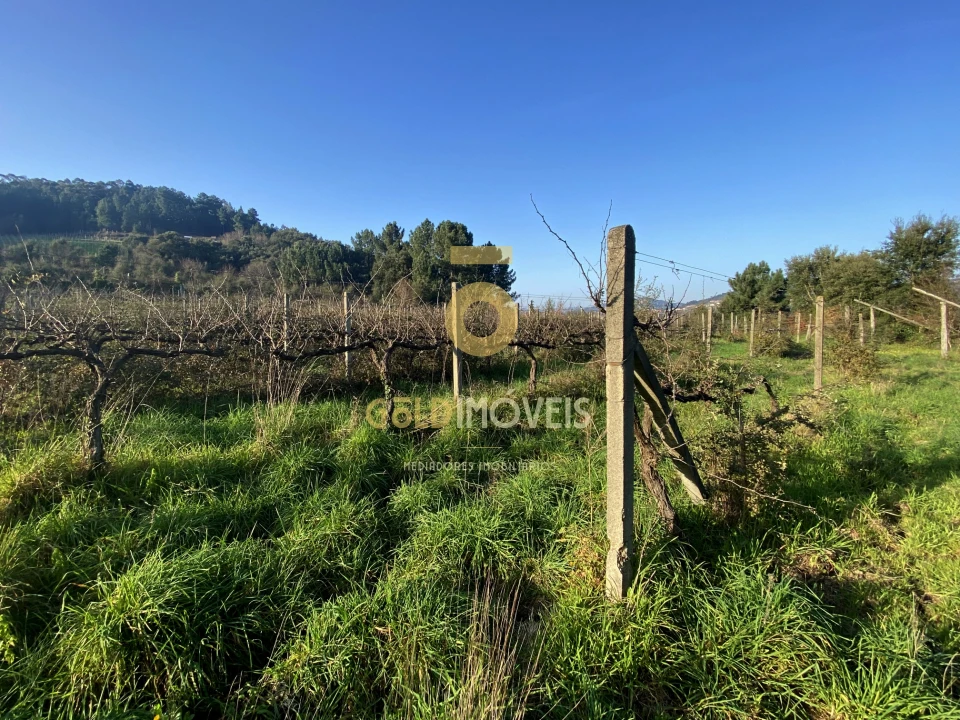 Terreno Agricola ou Rústico para Venda em Sobrado e Bairros Foto 5