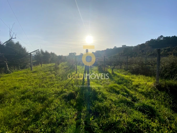 Terreno Agricola ou Rústico para Venda em Sobrado e Bairros Foto 6