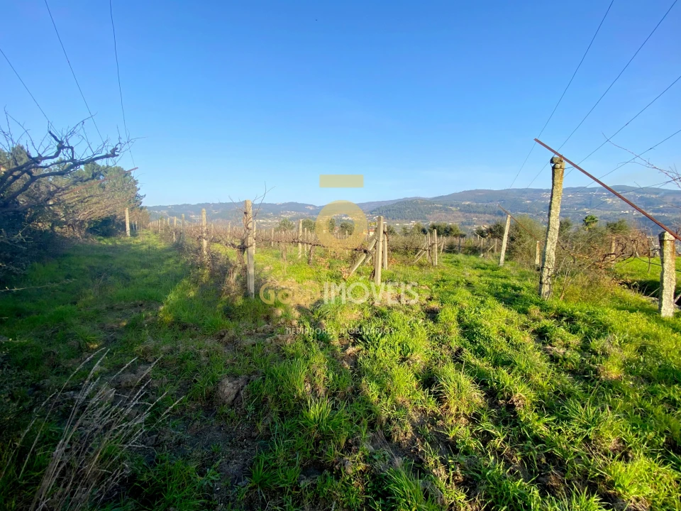Terreno Agricola ou Rústico para Venda em Sobrado e Bairros Foto 7