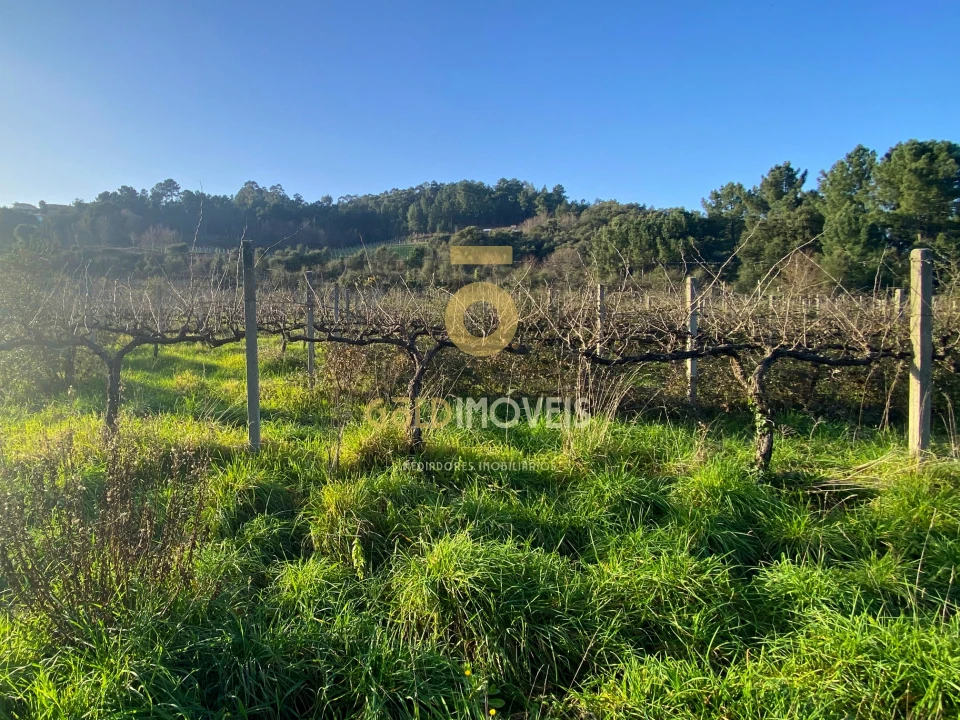 Terreno Agricola ou Rústico para Venda em Sobrado e Bairros Foto 4