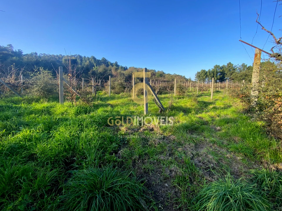 Terreno Agricola ou Rústico para Venda em Sobrado e Bairros Foto 8