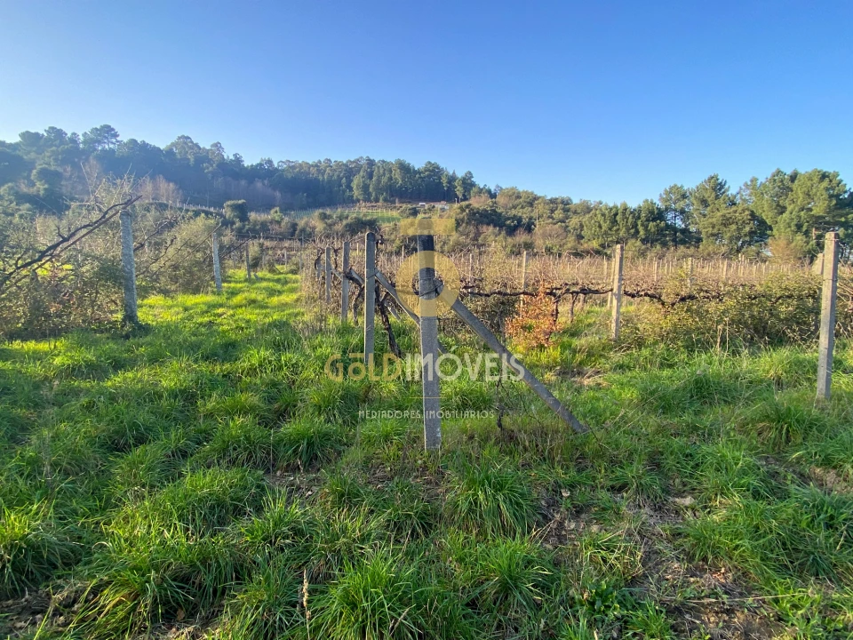 Terreno Agricola ou Rústico para Venda em Sobrado e Bairros Foto 2