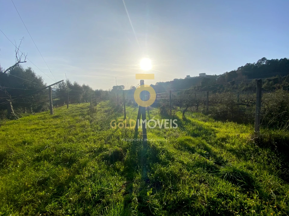 Terreno Agricola ou Rústico para Venda em Sobrado e Bairros Foto 6