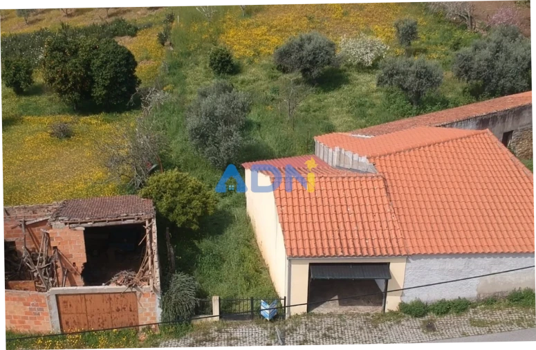 Quinta para Venda em Santo Andre das Tojeiras